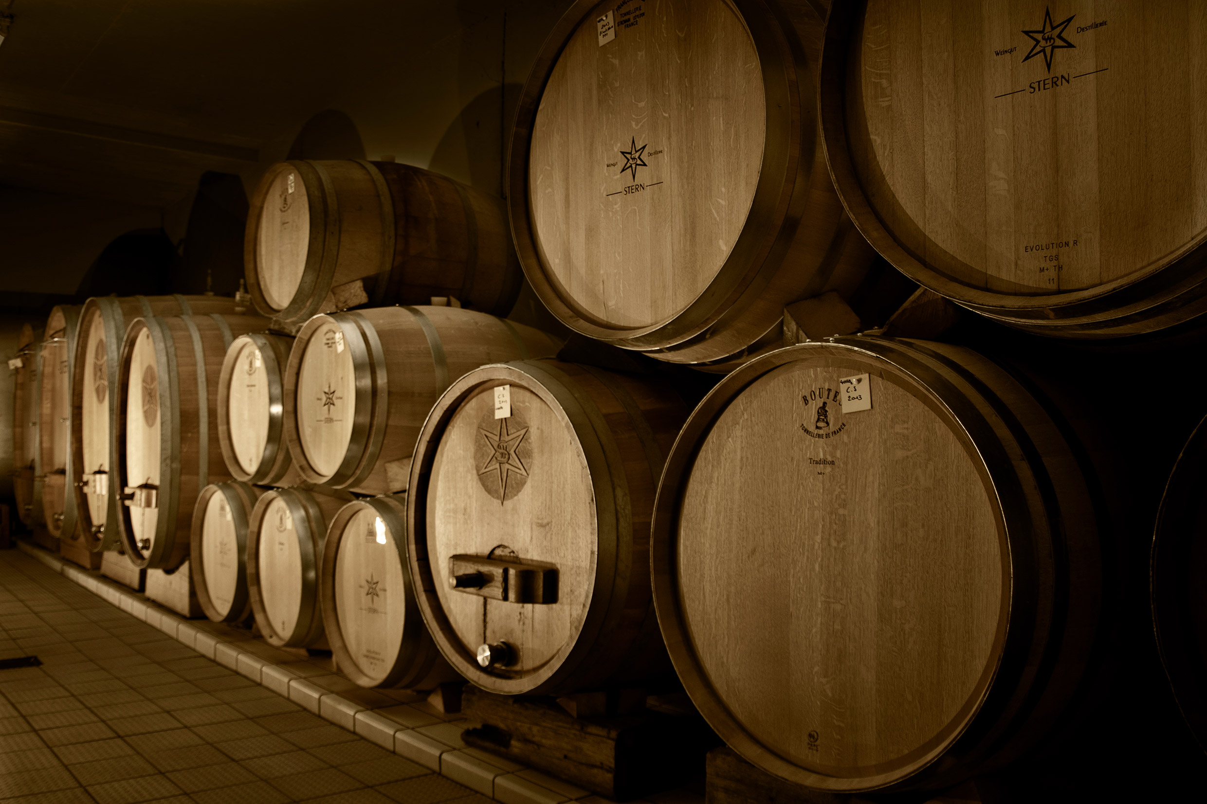 Headerbild Weingut Stern