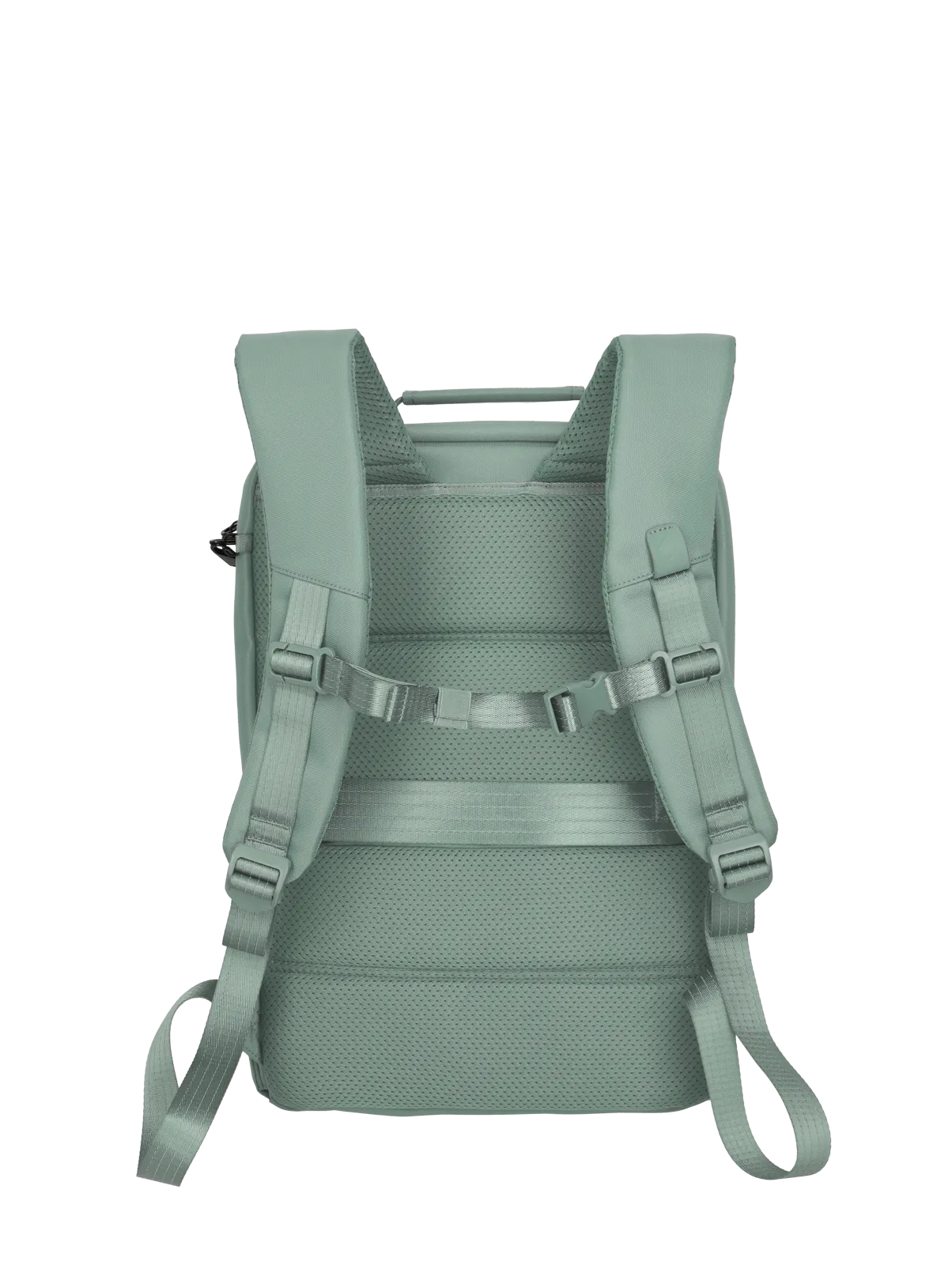 Rucksack in Mintgrün mit gepolsterten Schultergurten und Brustgurt – Rückansicht