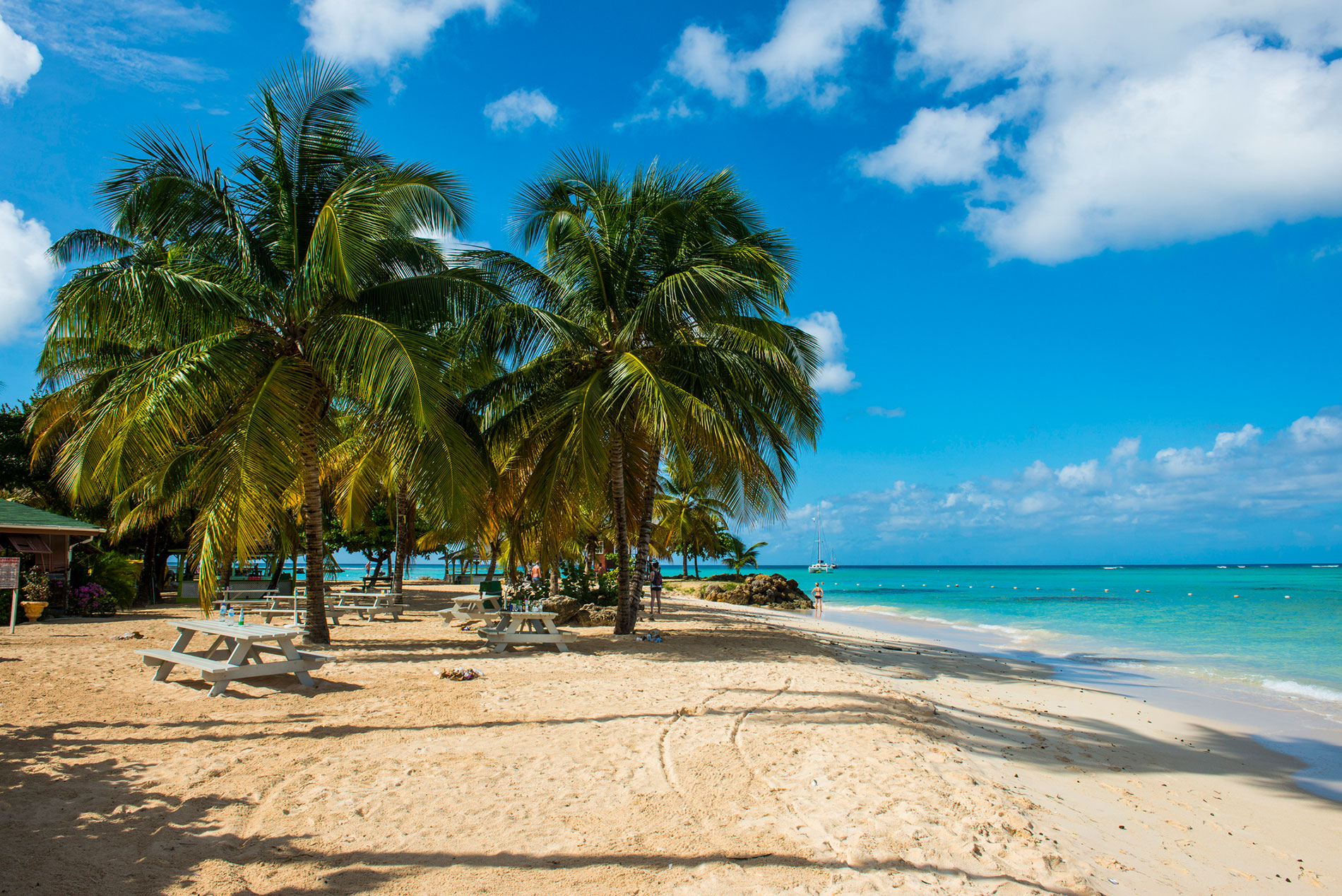 Five destinations in Europe that feel like the Caribbean Idyllischer Strand mit Palmen und türkisfarbenem Meer, ideal für Erholung und Entspannung
