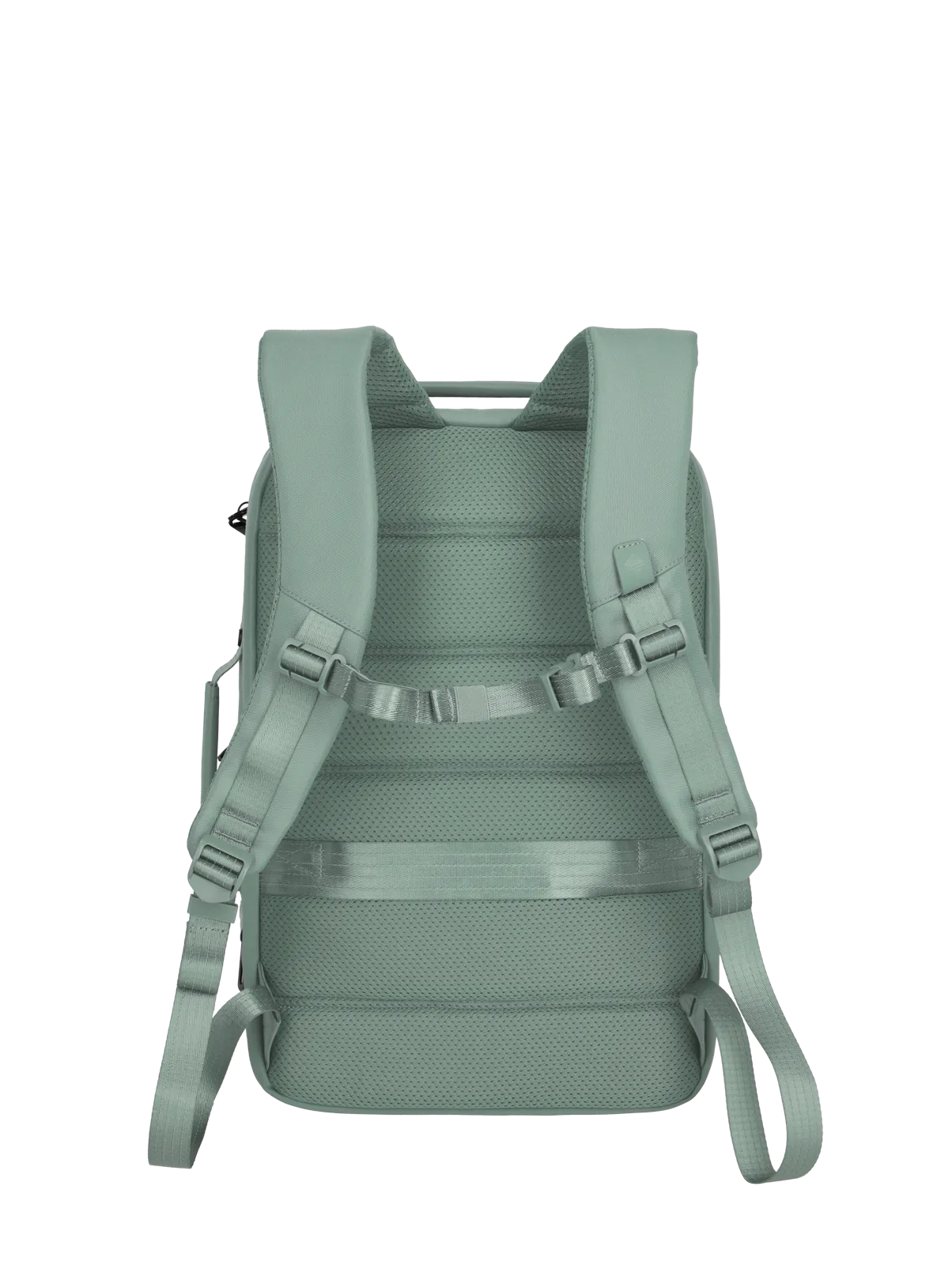 Rucksack in Grün mit gepolsterten Schultergurten und Rückenteil – Rückansicht
