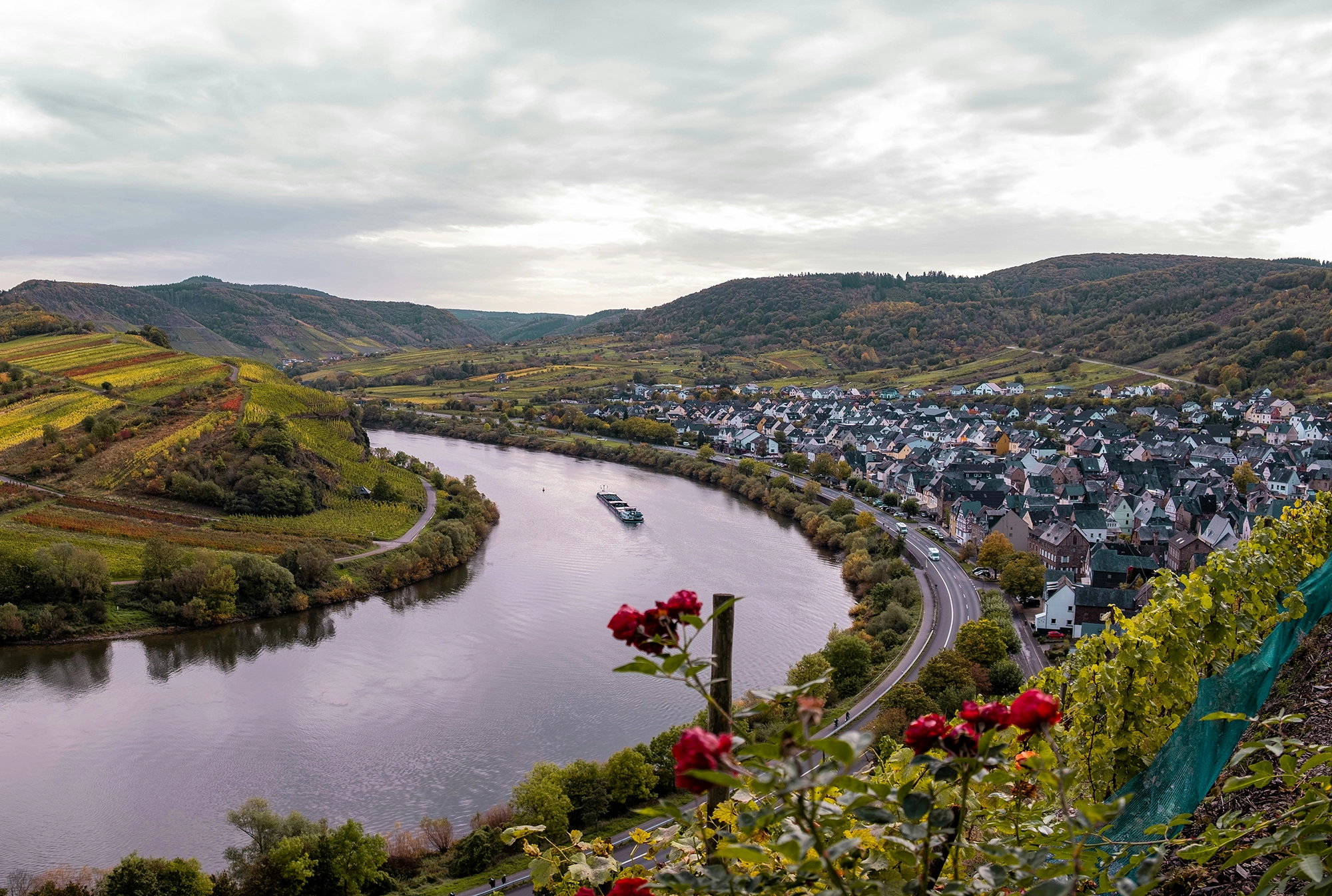 Urlaub an der Mosel: Entdecke das perfekte Reiseziel für Genießer Flusslandschaft mit Moselschleife, Weinbergen, einer Ortschaft und Blumen im Vordergrund