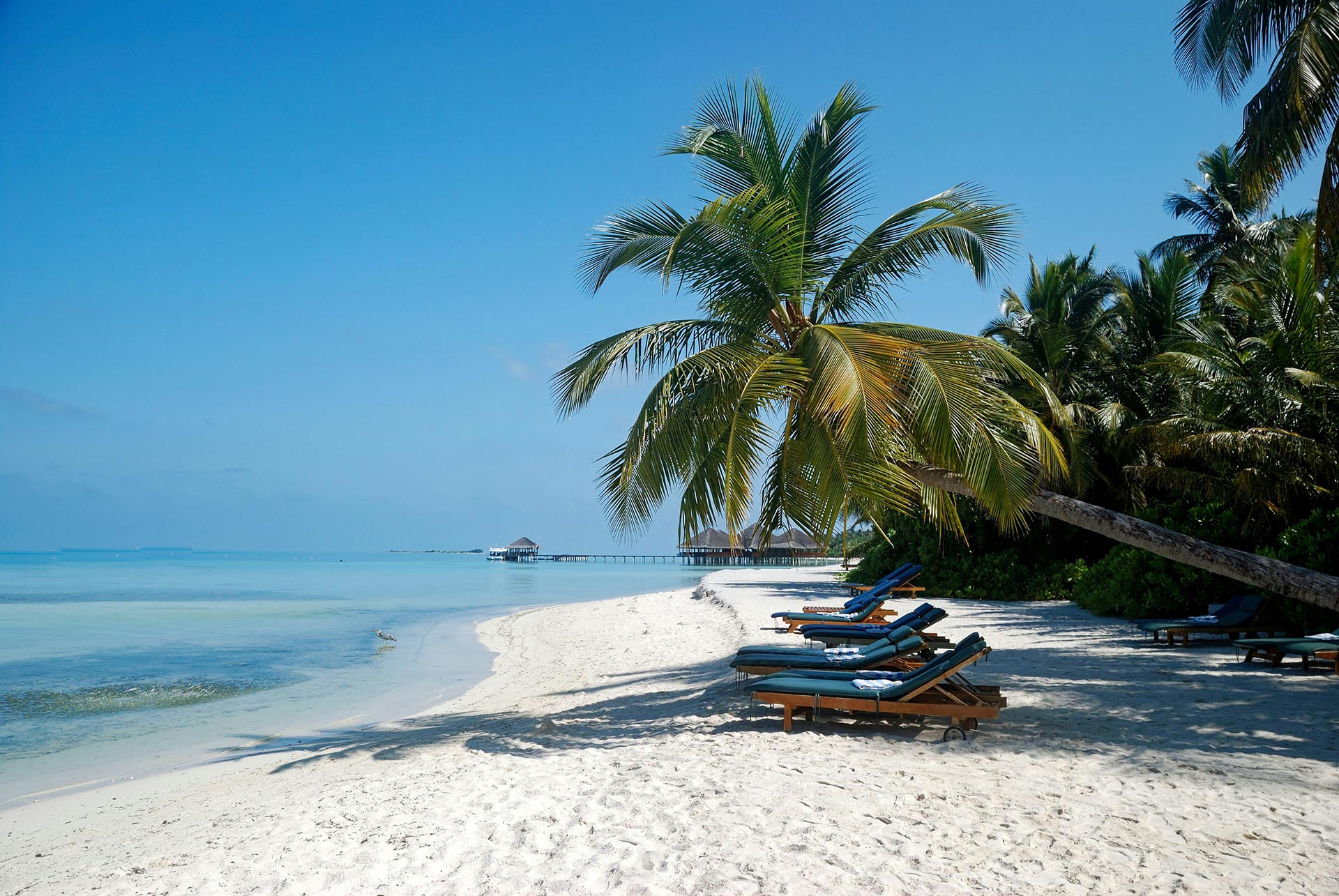 Public holidays & bridging days 2025: How to get the most vacation out of them Ein ruhiger Strand mit Palmen und Liegestühlen, umgeben von klarem, blauem Wasser unter einem sonnigen Himmel