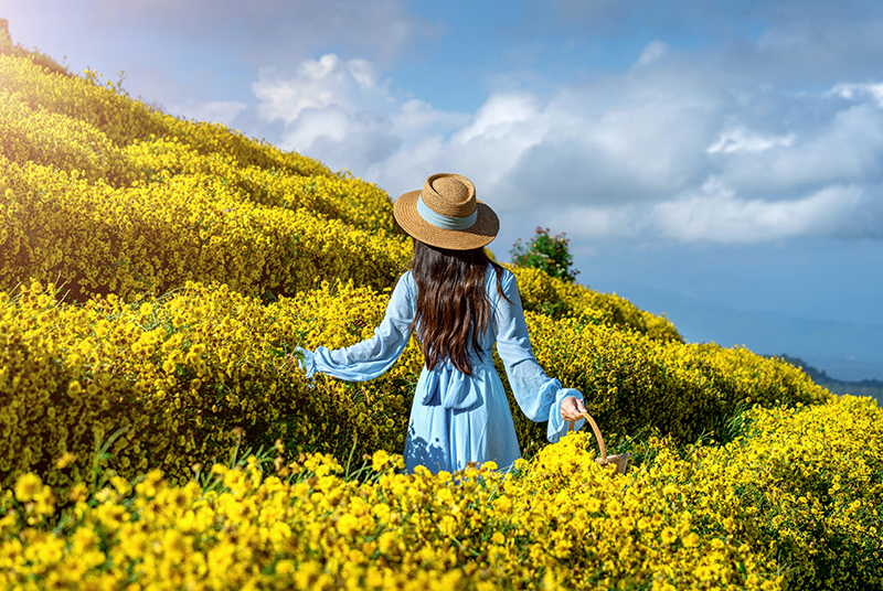 Geheimtipp Urlaub April: Insider-Tipps für deinen perfekten Frühlingsurlaub Eine Frau mit einem Strohhut und einem blauen Kleid steht in einem Feld voller gelber Blumen und blickt in die Ferne.