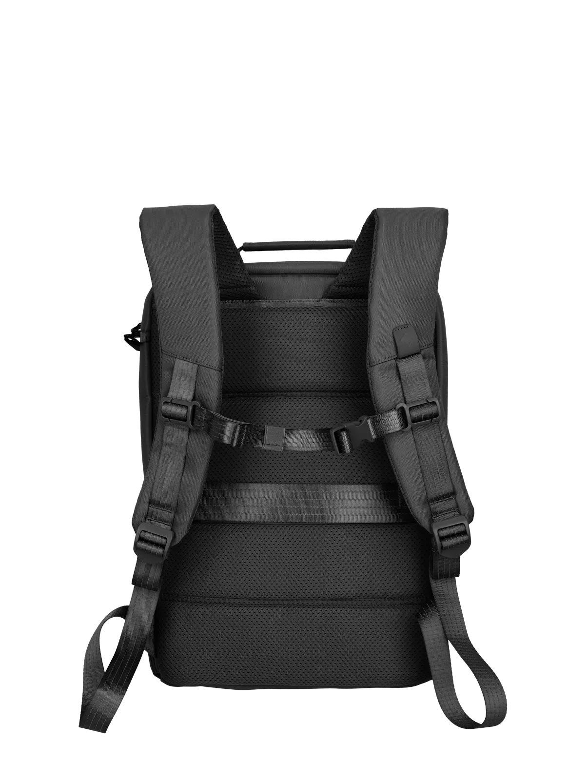 Schwarzer Rucksack mit gepolsterten Schultergurten und Rückenteil – Rückansicht