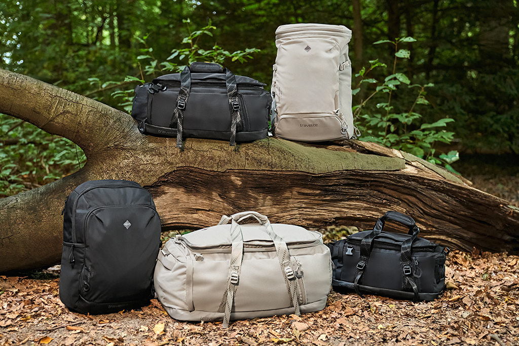 Five travel bags in different colours are lying in the forest. A grey bag in the middle at the bottom and a black rucksack on the left. At the top, on a tree trunk, a black bag and a beige rucksack. A small black bag at the bottom right.