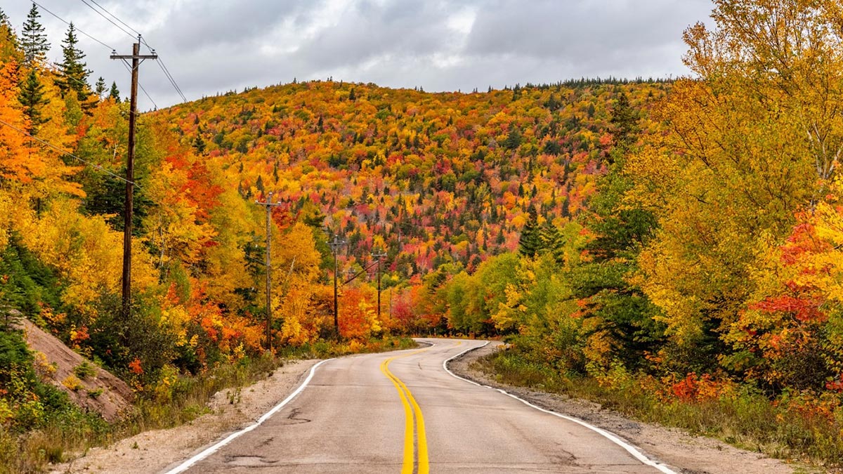 Reisetipps für den Indian Summer Straße schlängelt sich durch Herbstlandschaft mit gelb, orange und rot gefärbten Bäumen